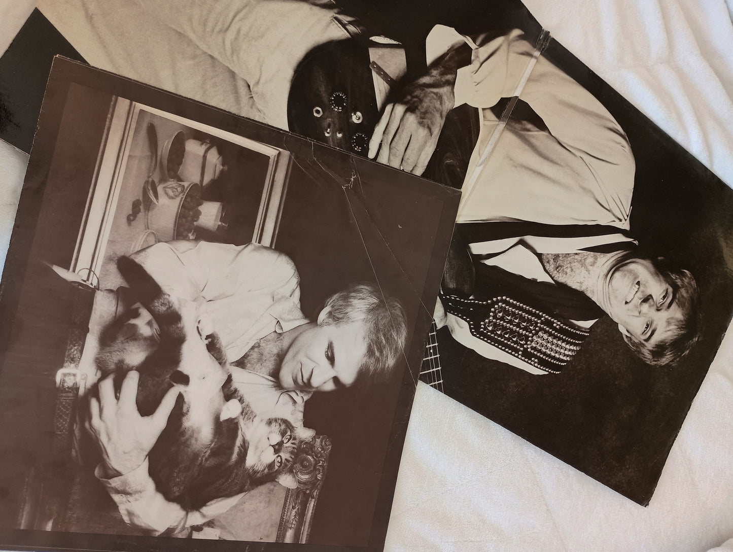 Steve Martin vinyl, A Wild and Crazy Guy