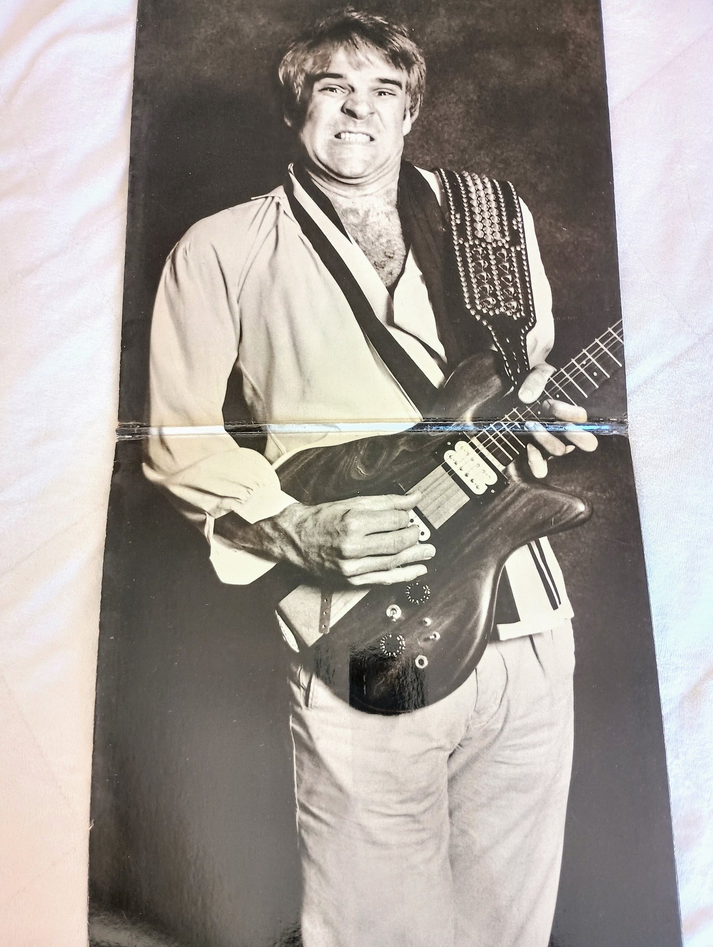 Steve Martin vinyl, A Wild and Crazy Guy