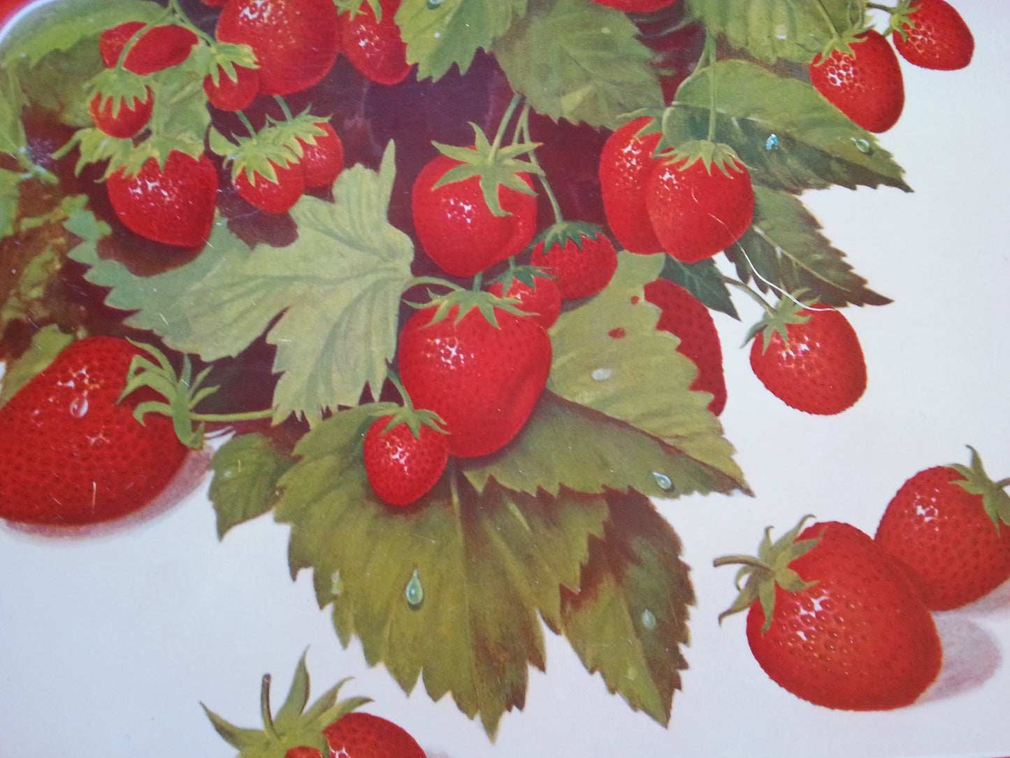 Vintage strawberry tin litho tray