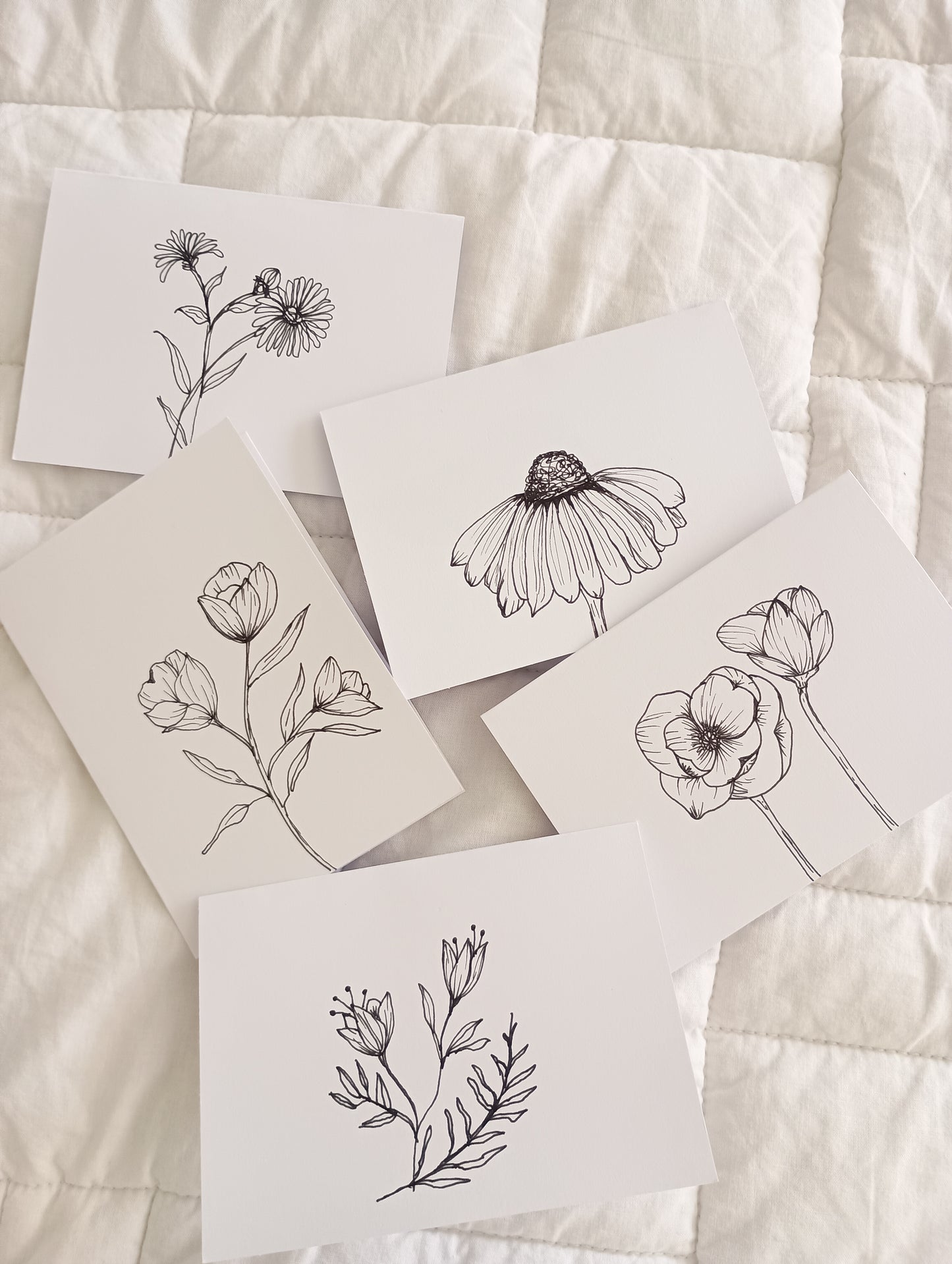 Wildflower hand drawn greeting card pack, 4"x6"