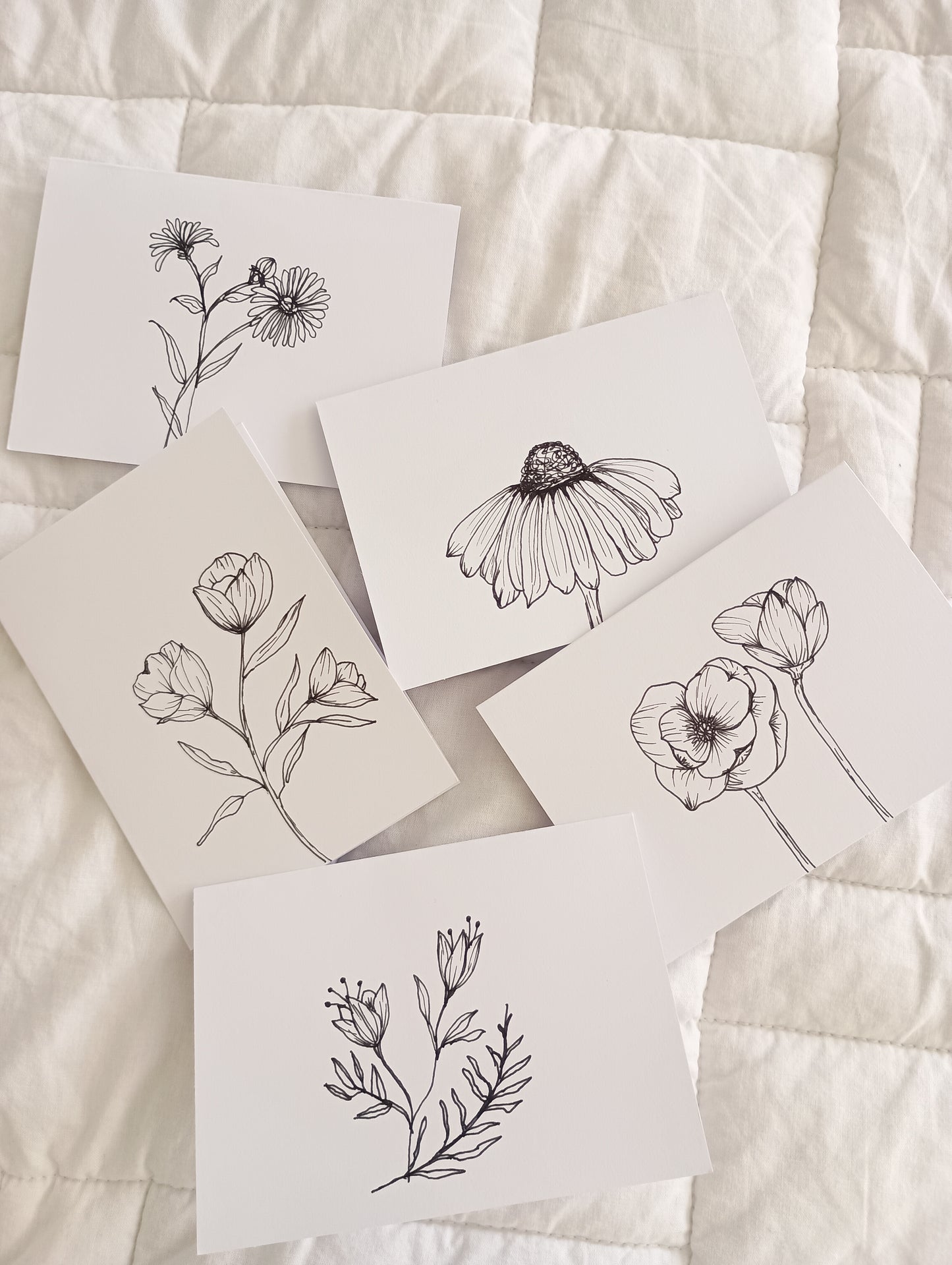 Wildflower hand drawn greeting card pack, 4"x6"